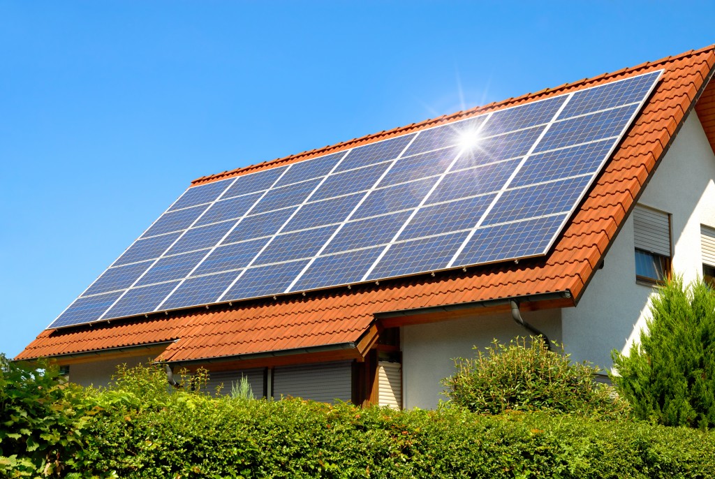 4-reasons-to-go-for-solar-pv-panels-today-transpac-technology