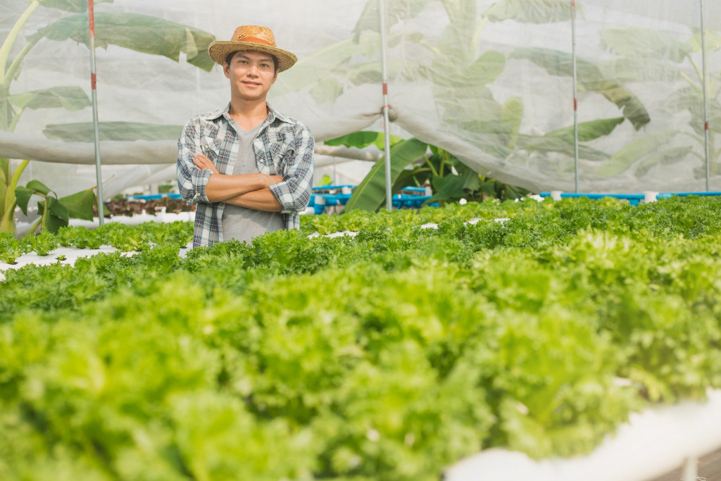 lettuce farmer crossing his hands while posing